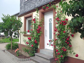 Гостиница Holiday Home Haus Irmgard  Хазерих